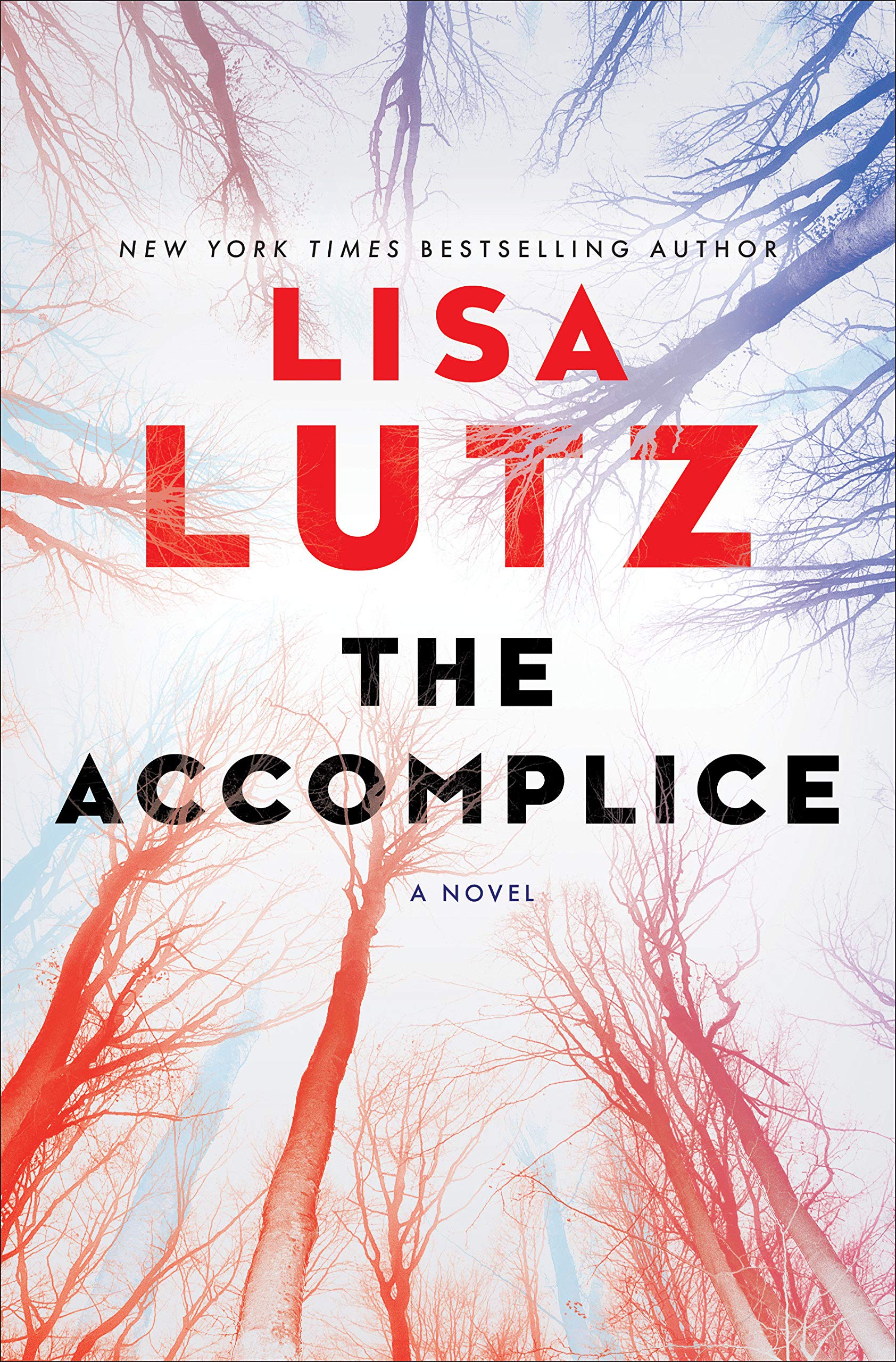 The Accomplice: A Novel by lisa lutz