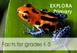 Explora Primary Schools landing page